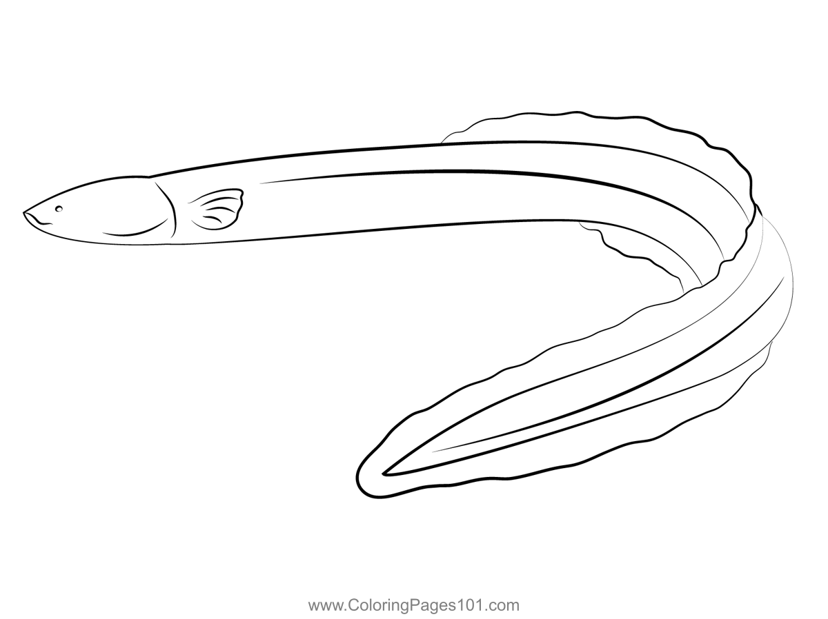 American Eel Coloring Page for Kids - Free Eels Printable Coloring