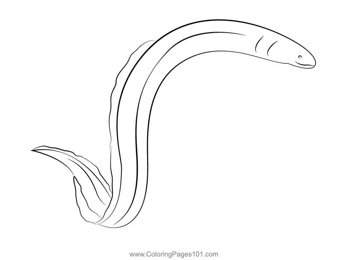 European Eel Coloring Page for Kids - Free Eels Printable Coloring