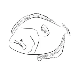 Flounder 1 Free Coloring Page for Kids