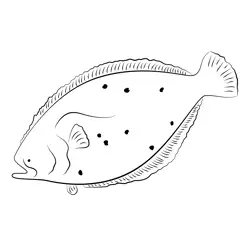 Flounder 2 Free Coloring Page for Kids