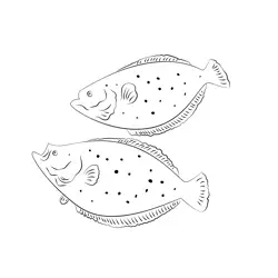 Flounder 4 Free Coloring Page for Kids