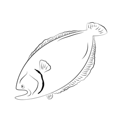 Flounder 6 Free Coloring Page for Kids