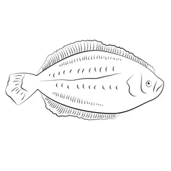 Flounder 7 Free Coloring Page for Kids