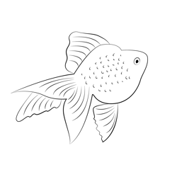 A Red And White Ryukin Goldfish Free Coloring Page for Kids
