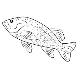 Goldfish Free Coloring Page for Kids