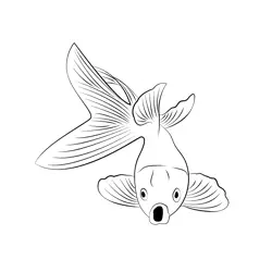 Goldfish Open Mouth Free Coloring Page for Kids