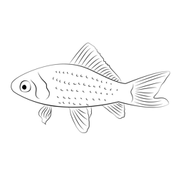Goldfish Screensaver Free Coloring Page for Kids