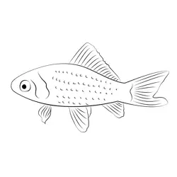 Goldfish Screensaver Free Coloring Page for Kids
