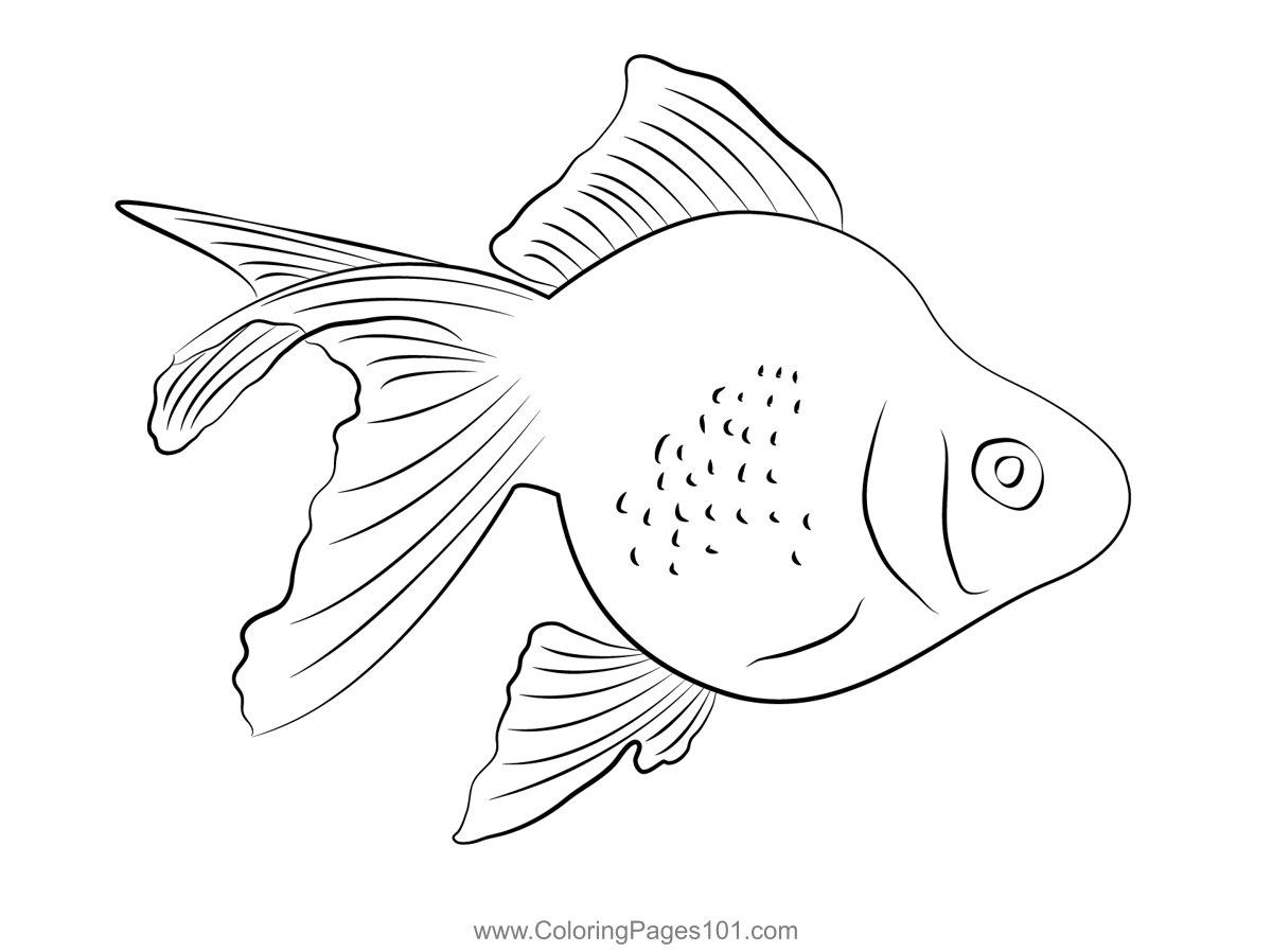 Pearl Goldfish