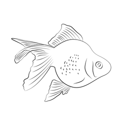 Pearl Goldfish Free Coloring Page for Kids