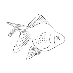 Pearl Goldfish Free Coloring Page for Kids
