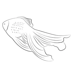 Veiltail Goldfish Free Coloring Page for Kids
