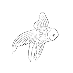 White Gold Fish Free Coloring Page for Kids