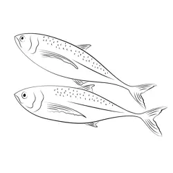 Horse Mackerel Free Coloring Page for Kids