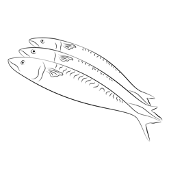 Mackerel Header Free Coloring Page for Kids