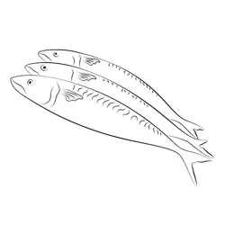 Mackerel Header Free Coloring Page for Kids