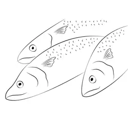 Three Mackerel Fish Free Coloring Page for Kids