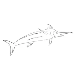 Blue Marlin Free Coloring Page for Kids