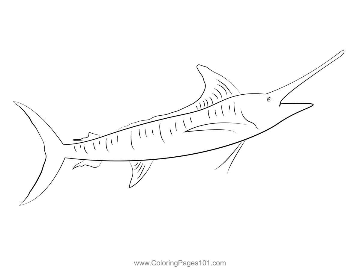 Blue marlin fish Coloring Page for Kids - Free Marlins Printable