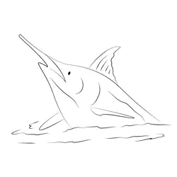 Marlin Canavieiras Free Coloring Page for Kids