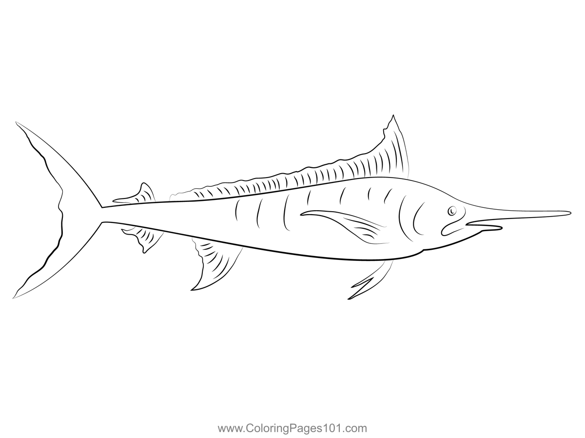 Marlin Fish Coloring Page for Kids - Free Marlins Printable Coloring