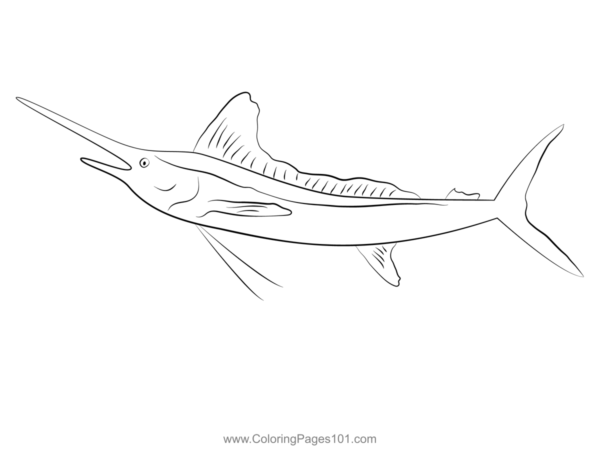 White Marlin Fishmount Large Coloring Page for Kids - Free Marlins