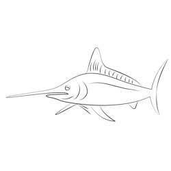 White Marlin Free Coloring Page for Kids
