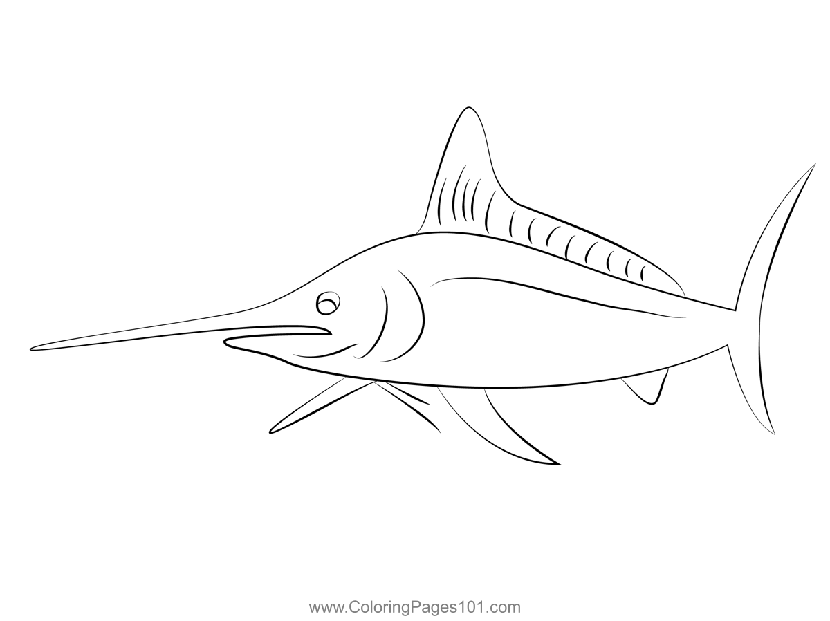 White Marlin Coloring Page for Kids - Free Marlins Printable Coloring