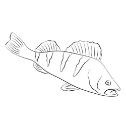 Perch Free Coloring Page for Kids