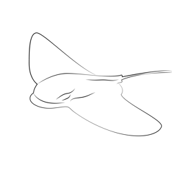 Bat Ray See Free Coloring Page for Kids