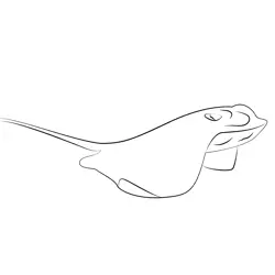 Bat Ray Free Coloring Page for Kids