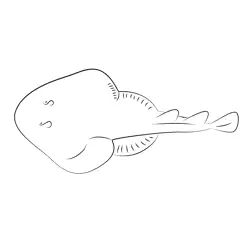 Cortez Electric Ray Free Coloring Page for Kids