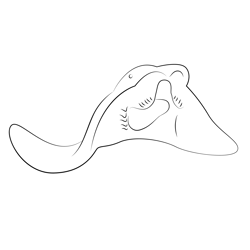 Cownose Ray Free Coloring Page for Kids