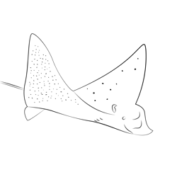 Eagle Ray Closeup Free Coloring Page for Kids