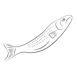 Salmon Jump Free Coloring Page for Kids