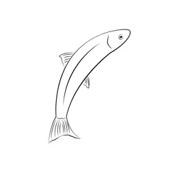 Salmon Free Coloring Page for Kids