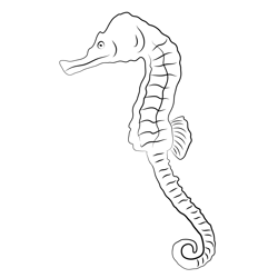Sea Horse 2 Free Coloring Page for Kids