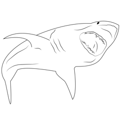 Angry Shark Free Coloring Page for Kids