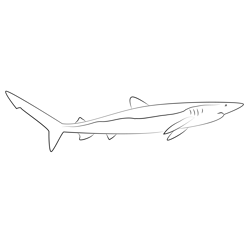 Beautiful Blue Shark Free Coloring Page for Kids