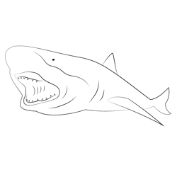 Blacknose Shark Carcharhinus Free Coloring Page for Kids
