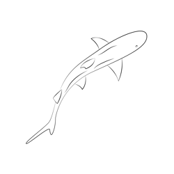 Bull Shark Free Coloring Page for Kids