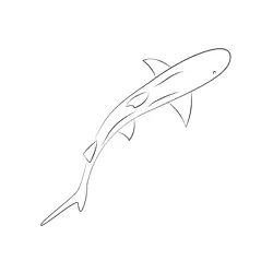 Bull Shark Free Coloring Page for Kids