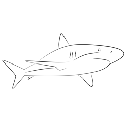 Caribbean Reef Shark Free Coloring Page for Kids