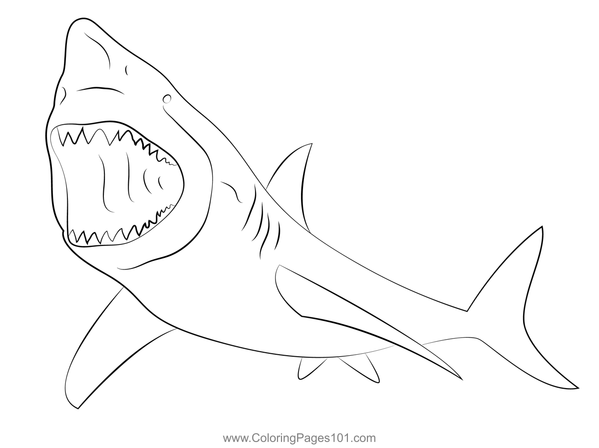 Shark Coloring Page for Kids - Free Sharks Printable Coloring Pages Online for Kids ...
