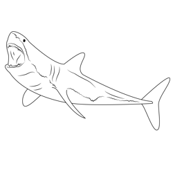 Great White Shark Diving Free Coloring Page for Kids