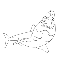 Great White Shark Free Coloring Page for Kids