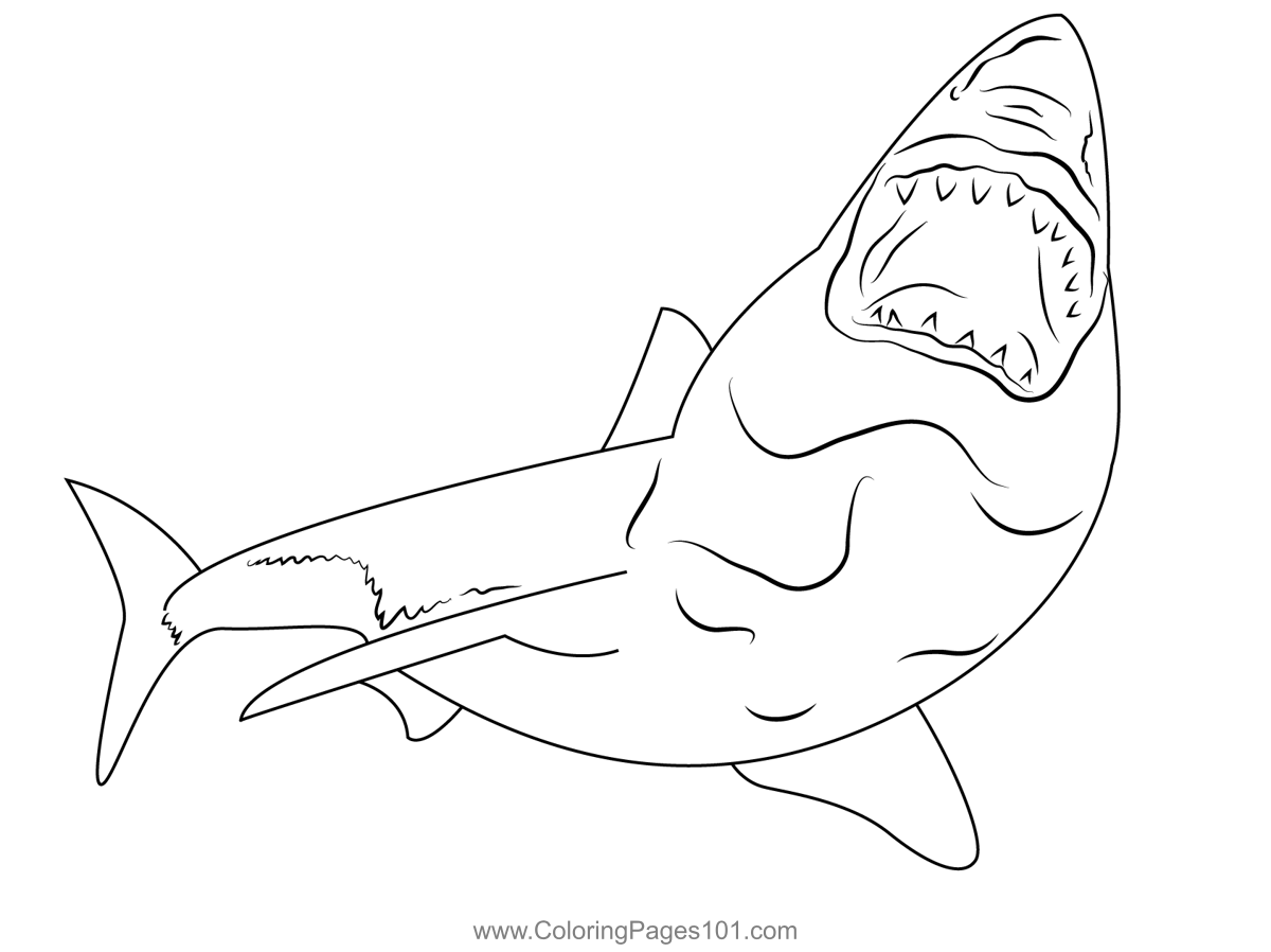 Акула челюсти раскраска