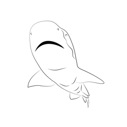 Juvenile  Emon Sharks Free Coloring Page for Kids