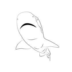 Great White Shark Diving Coloring Page for Kids - Free Sharks Printable