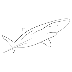 See Up Shark Free Coloring Page for Kids
